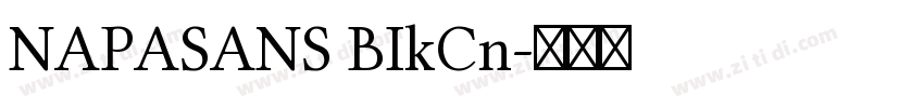 NAPASANS BIkCn字体转换